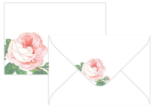 Kirjekuori C6 Iso ruusu vaaleanpunainen 10kpl