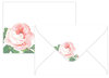 C6 Kirjekuori Iso ruusu vaaleanpunainen 10kpl/pkt