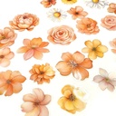 Tarra Kukat persikka 25kpl