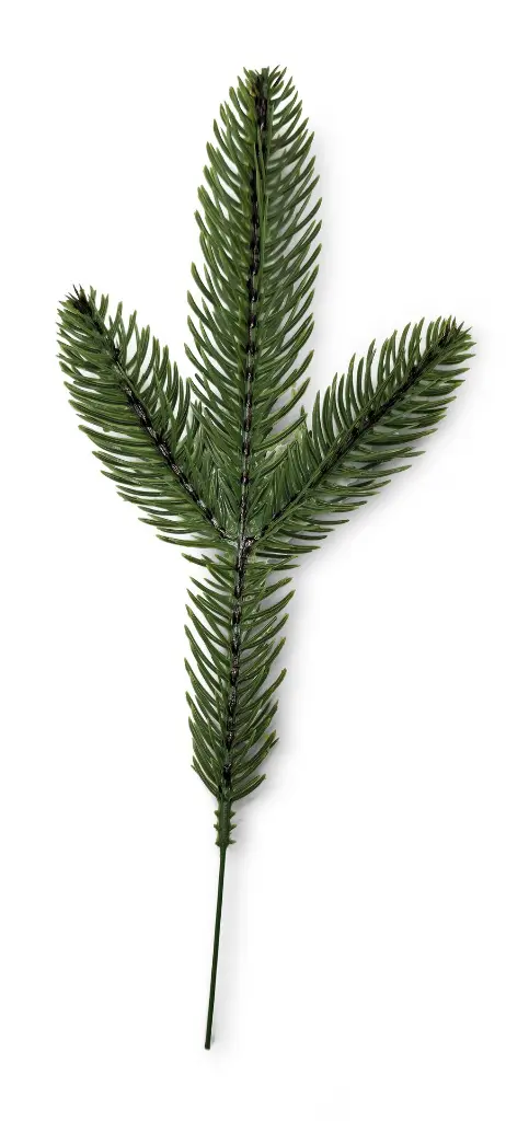 3799_02.webp