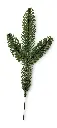 3799_02.webp
