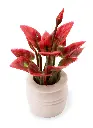 8421_01.webp