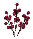 3783_02.webp