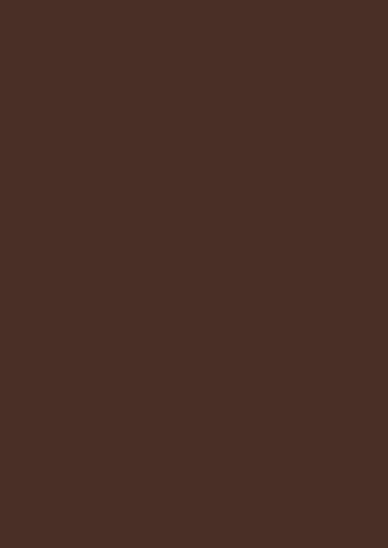 Color paper A4 dark brown 20pcs