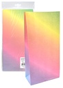 Paper bag Rainbow 5pcs