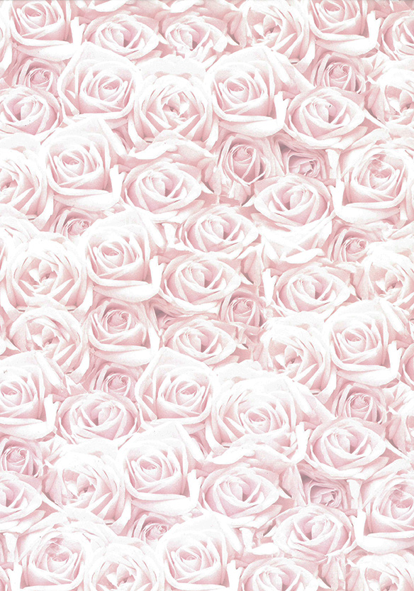 Design card A4 Roses light pink 5pcs