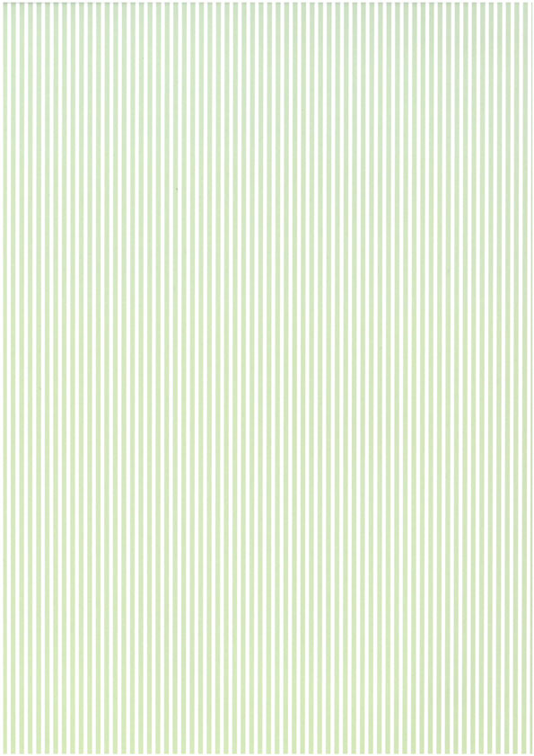 Design card A4 Stripe green 5pcs