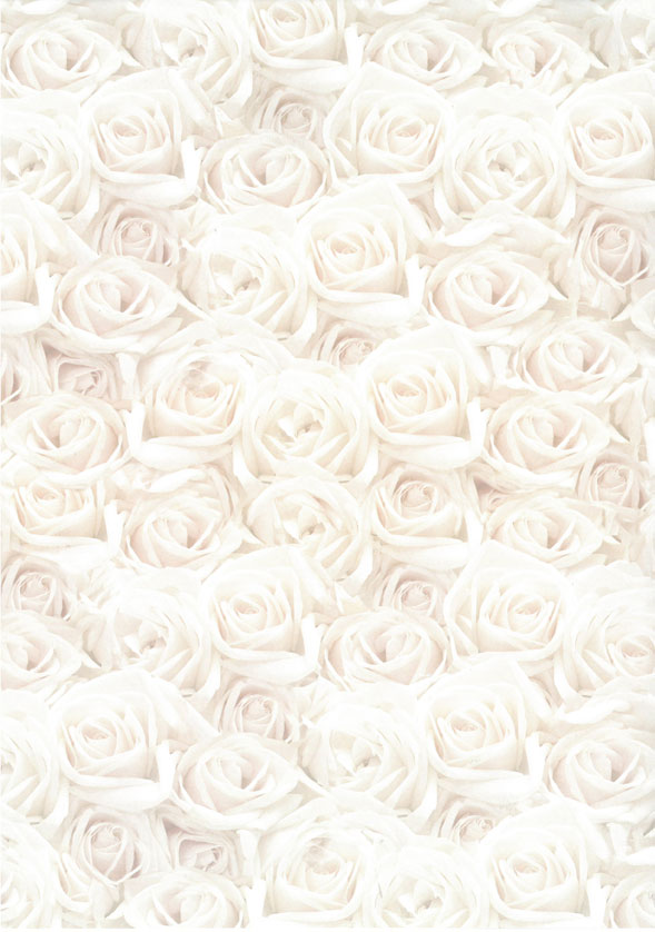 Design card A4 Roses white 5pcs