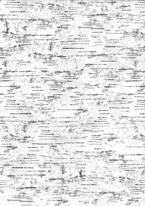 Design card A4 Birchbark 5pcs