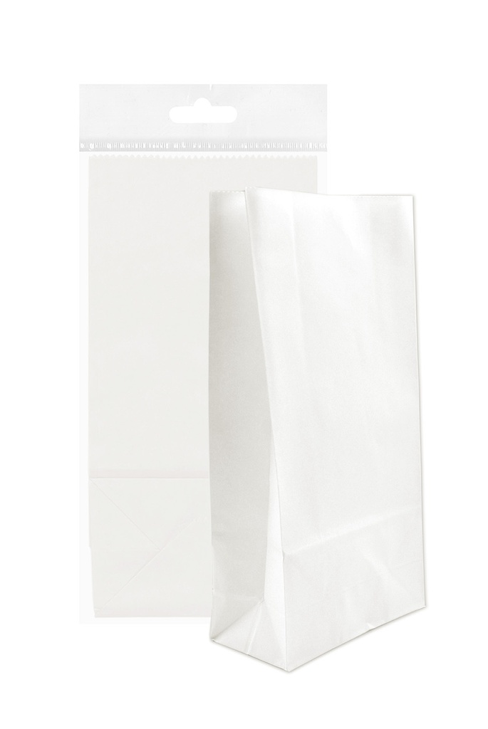 Paper bag mini white 5pcs