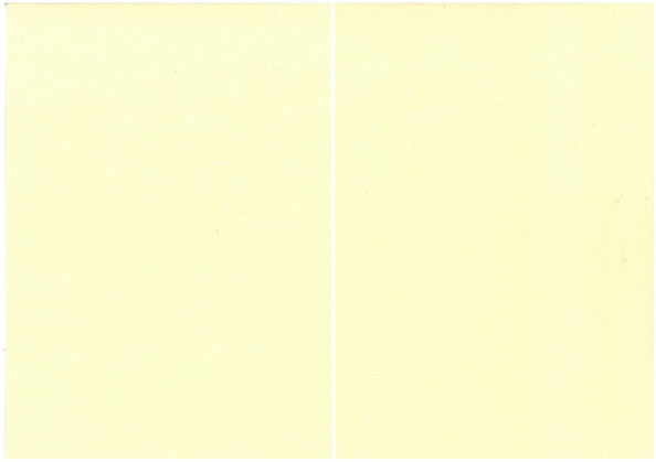 Folded pearlescent card ivory 10pcs