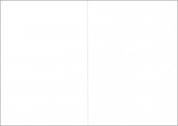 Folded pearlescent card white 10pcs