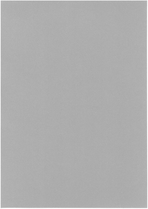 Pearlescent card A4 silver 10pcs