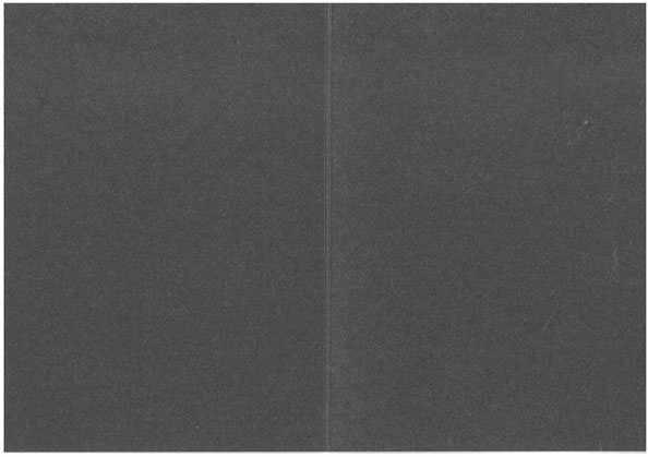 Folded pearlescent card black 10pcs