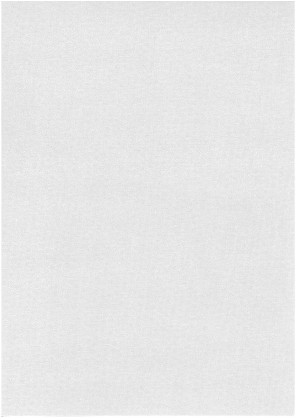 Pearlescent card A4 champagne 10pcs