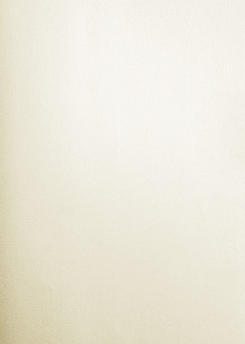 Pearlescent paper A4 white 10pcs