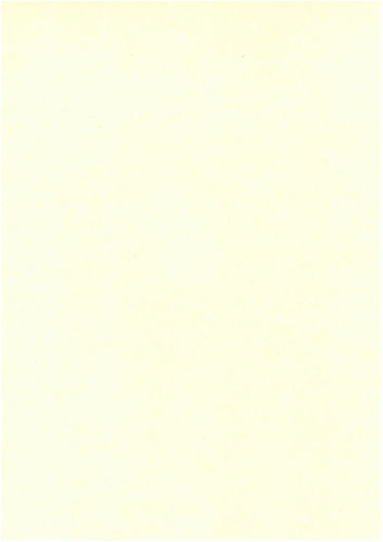 Card big ivory 25pcs