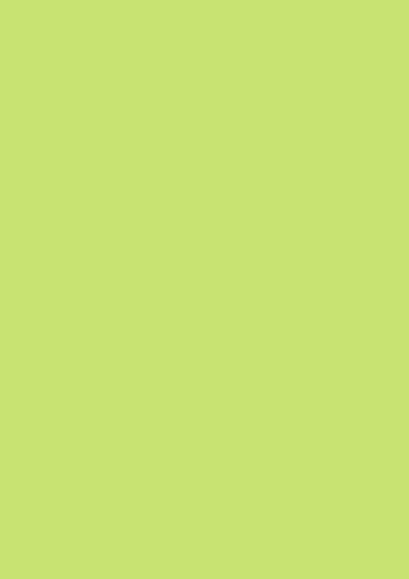 Color paper A4 light green 20pcs