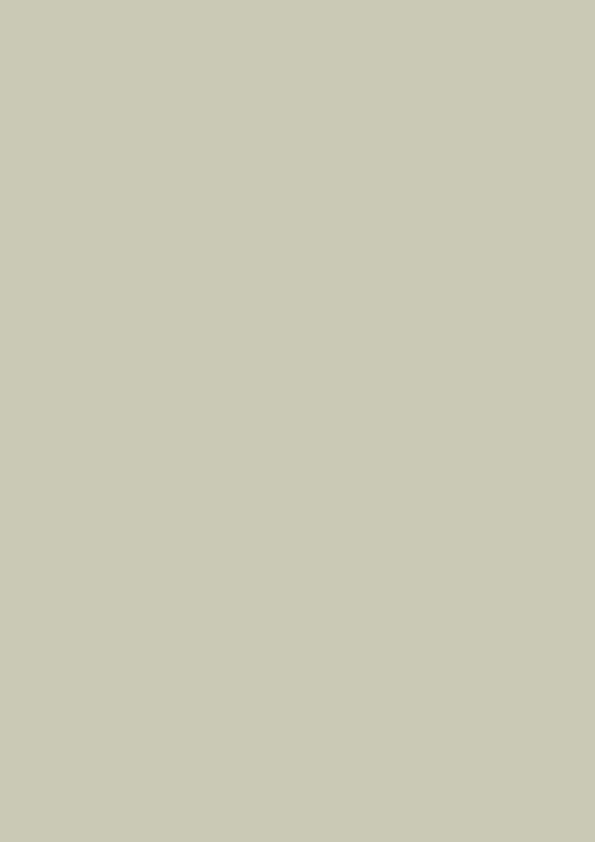Color paper A4 light grey 20pcs