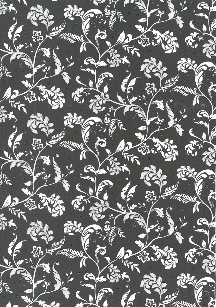Glitter paper A4 Black/white vine 5pcs