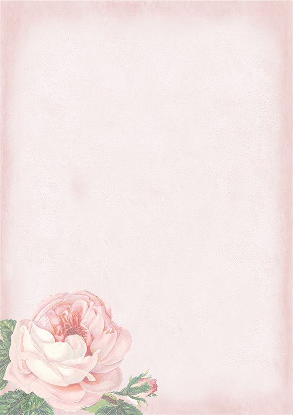 Decorative paper A4 big Rose light pink 5pcs