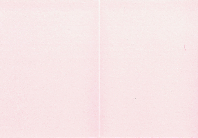 Folded pearlescent card rose 10pcs