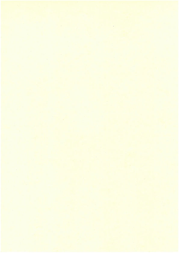 Card A4 ivory 10pcs