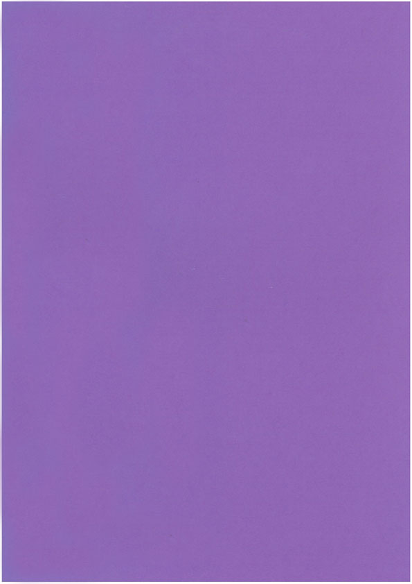 Card A4 lilac 10pcs
