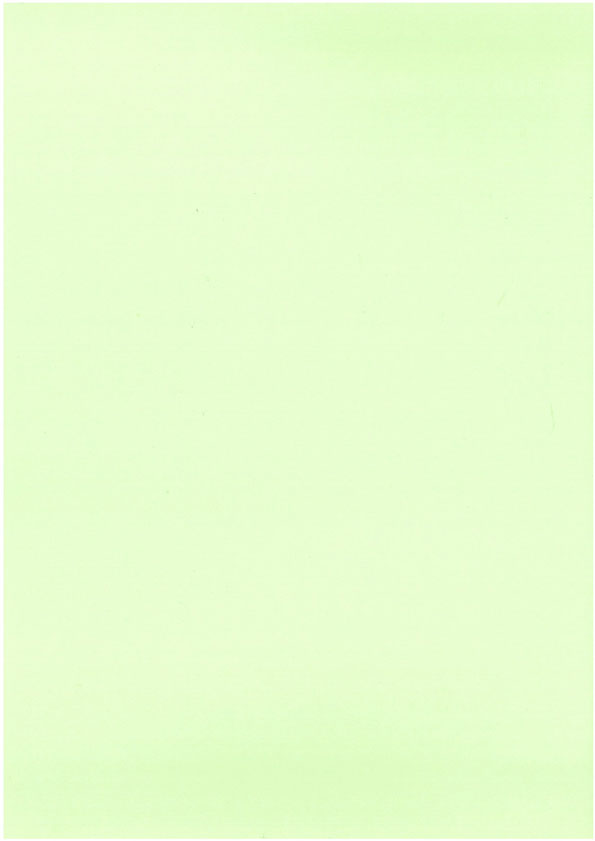 Card A4 light green 10pcs