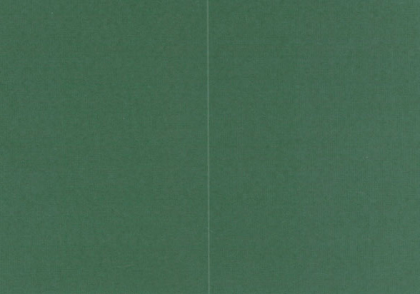 Folded card Lumo dark green 10pcs