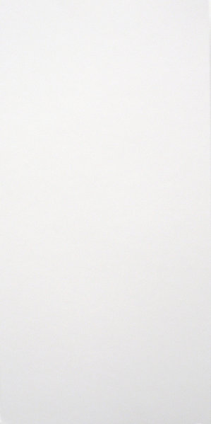 Folded card long white 10pcs