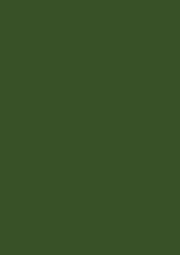 Card A6 dark green 25pcs