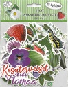 Big die cuts Kesä 25pcs