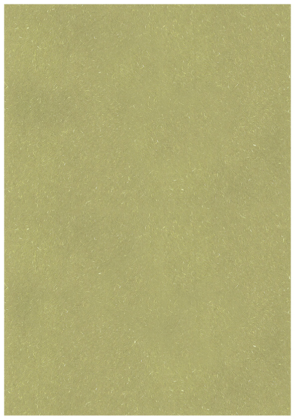 Paper A4 Kaisla green 10pcs