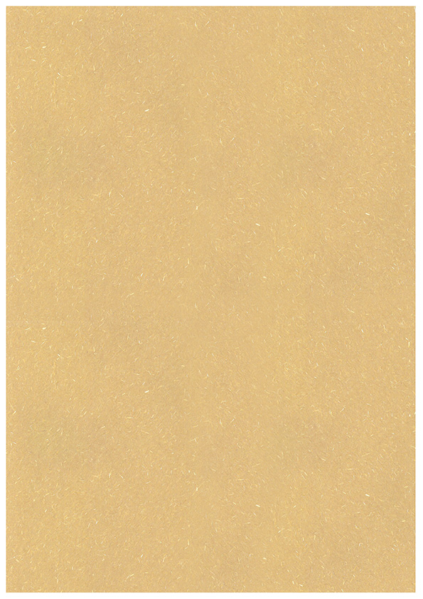 Paper A4 Kaisla brown 10pcs