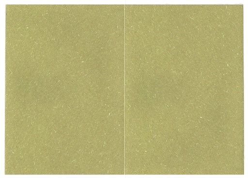 [8132] Folded card Kaisla green 10pcs