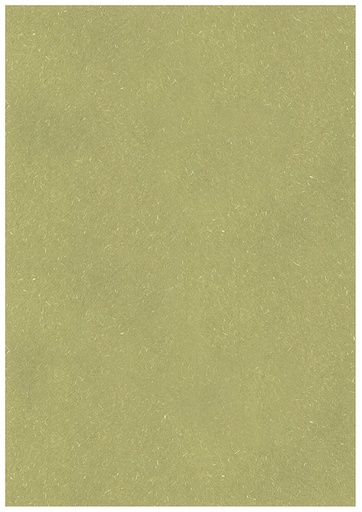[6521] Paper A4 Kaisla green 10pcs