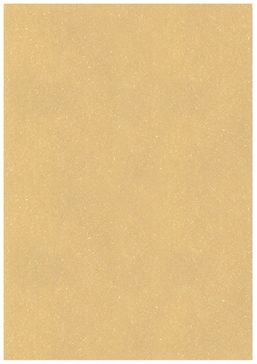 [6522] Paperi A4 Kaisla ruskea 10ark