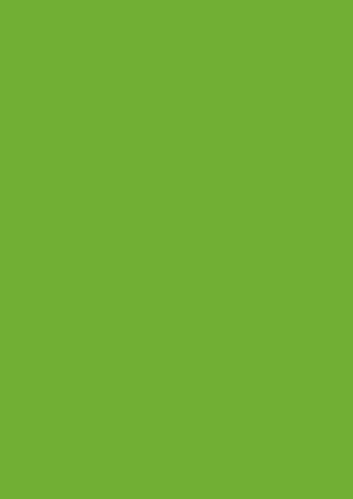 [6451] Color paper A4 grass green 20pcs