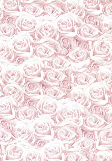 [2277] Design card A4 Roses light pink 5pcs