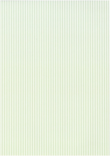 [2285] Design card A4 Stripe green 5pcs