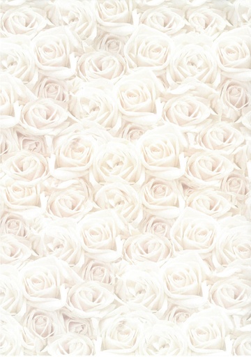 [2295] Design card A4 Roses white 5pcs