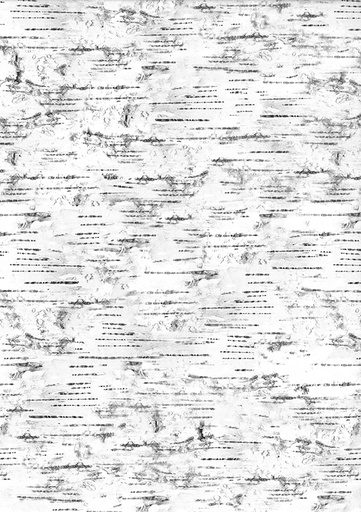 [2296] Design card A4 Birchbark 5pcs