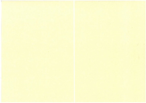 [1398] Folded pearlescent card ivory 10pcs