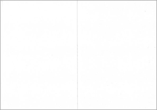 [1400] Folded pearlescent card white 10pcs