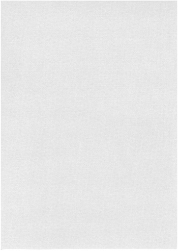 [1565] Pearlescent card A4 champagne 10pcs