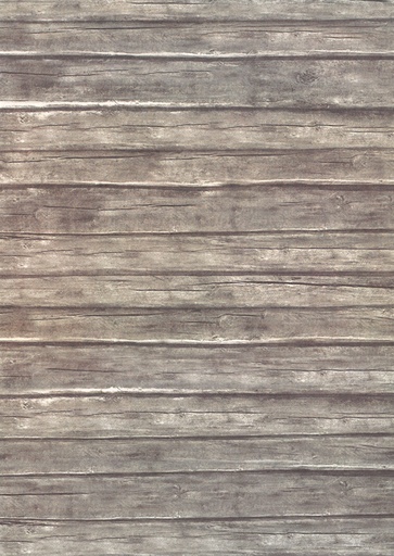 [1925] Design card A4 Timber wall 5pcs