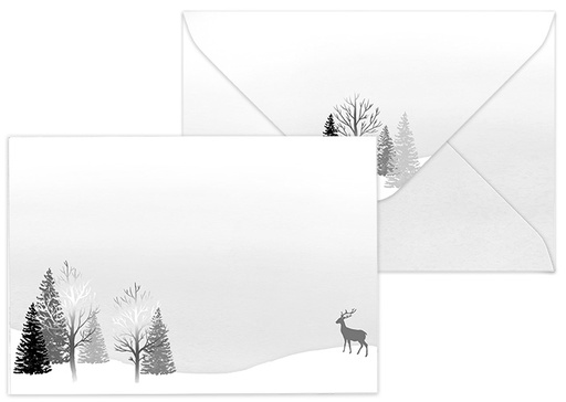[3134] Foil envelope C6 Landscape silver 10pcs