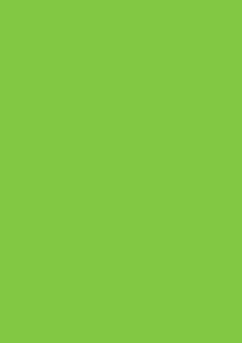 [5452] Card big green 25pcs