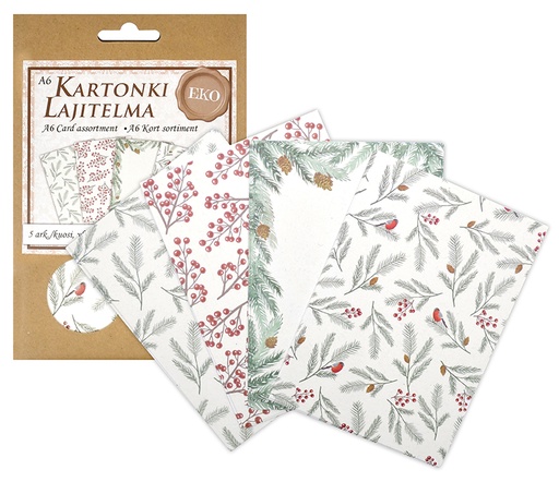 [5603] Eco card assortment A6 Twigs 20pcs